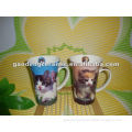 cute cats 14oz new bone china coffee mug